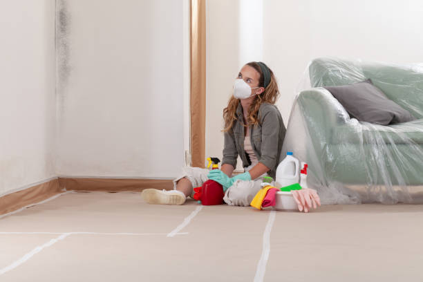 Reliable Mold Remediation contractor in Abingdon, MD by 24 Hour Mold Removal